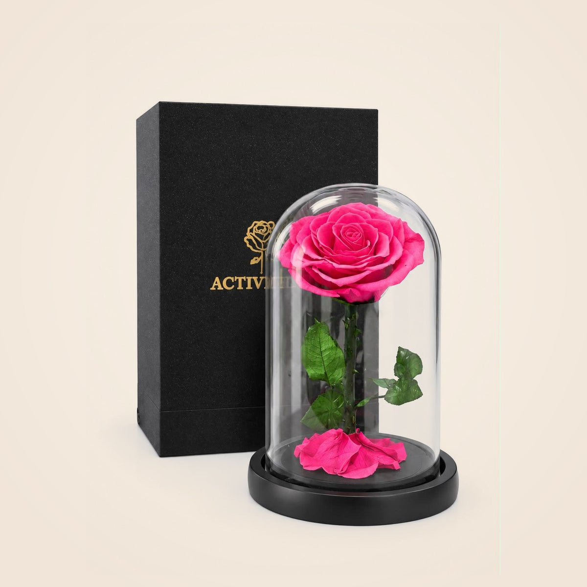 Forever Rose – Pink