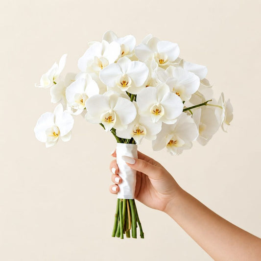 Orchid Royale