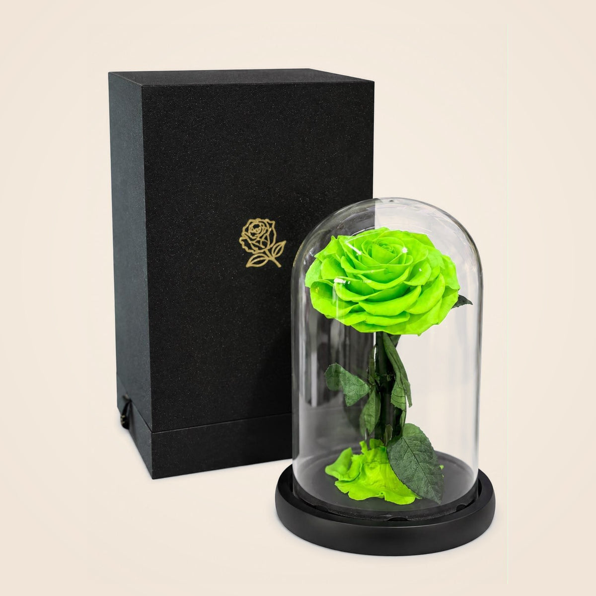 Forever Rose – Light Green