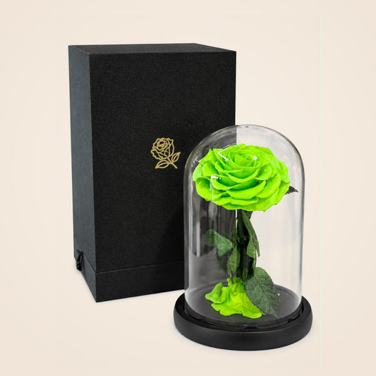 Forever Rose – Light Green