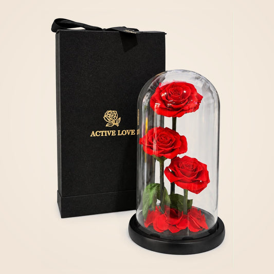 Forever Rose Trio – Red