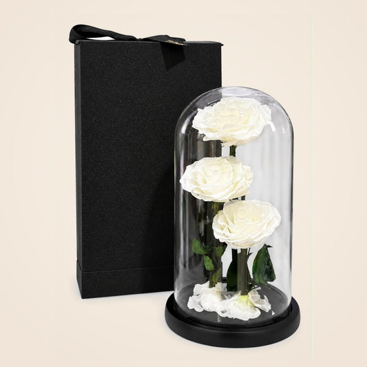 Forever Rose Trio – White